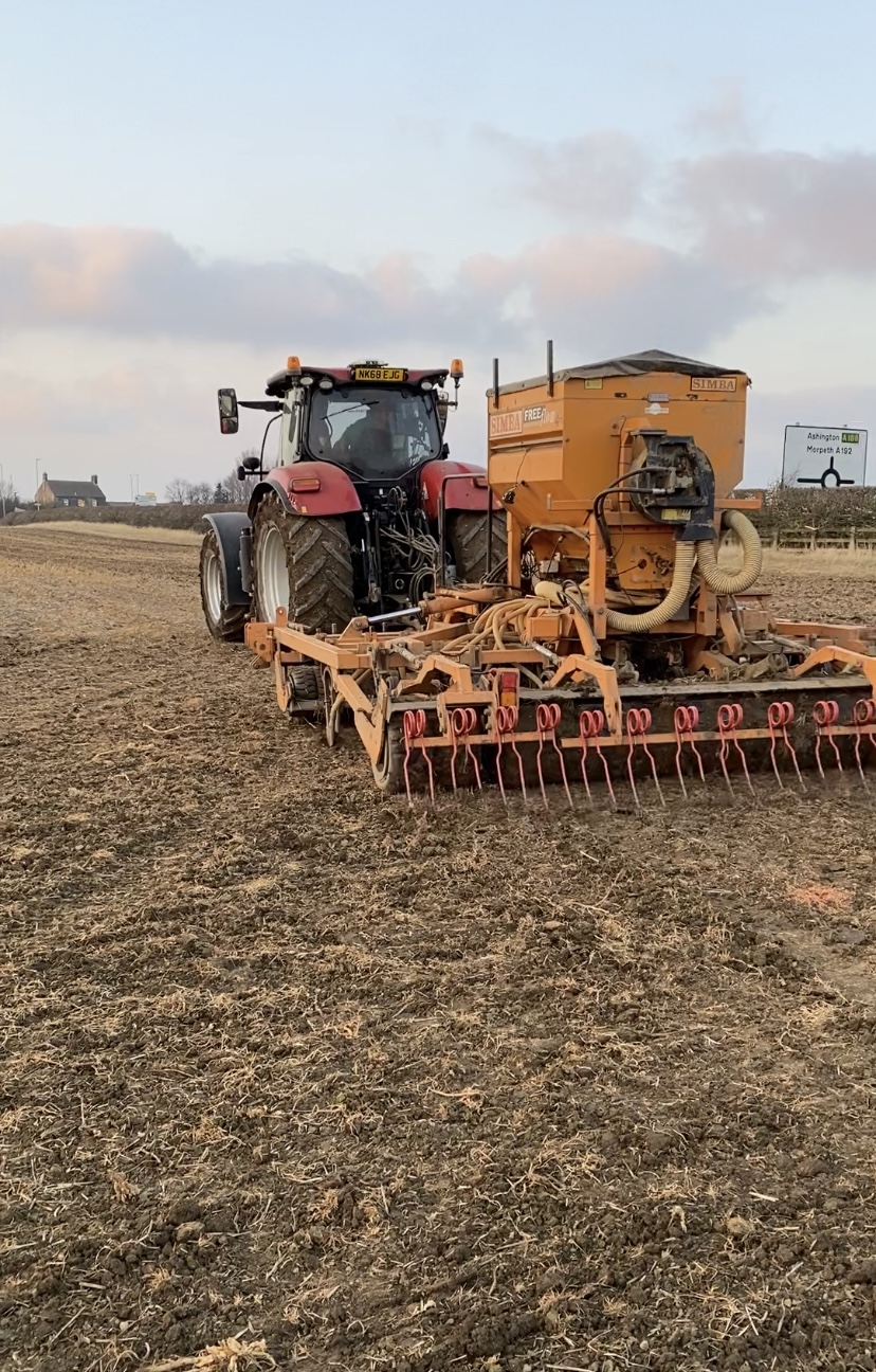Crop sowing 2022