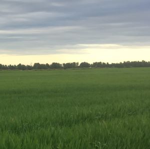 blog pic 29.5.19