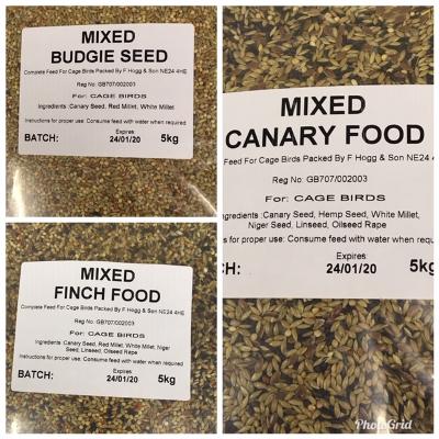 canary food