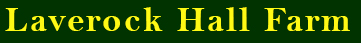 logo text only