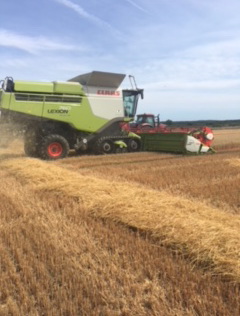 combine harvester 1